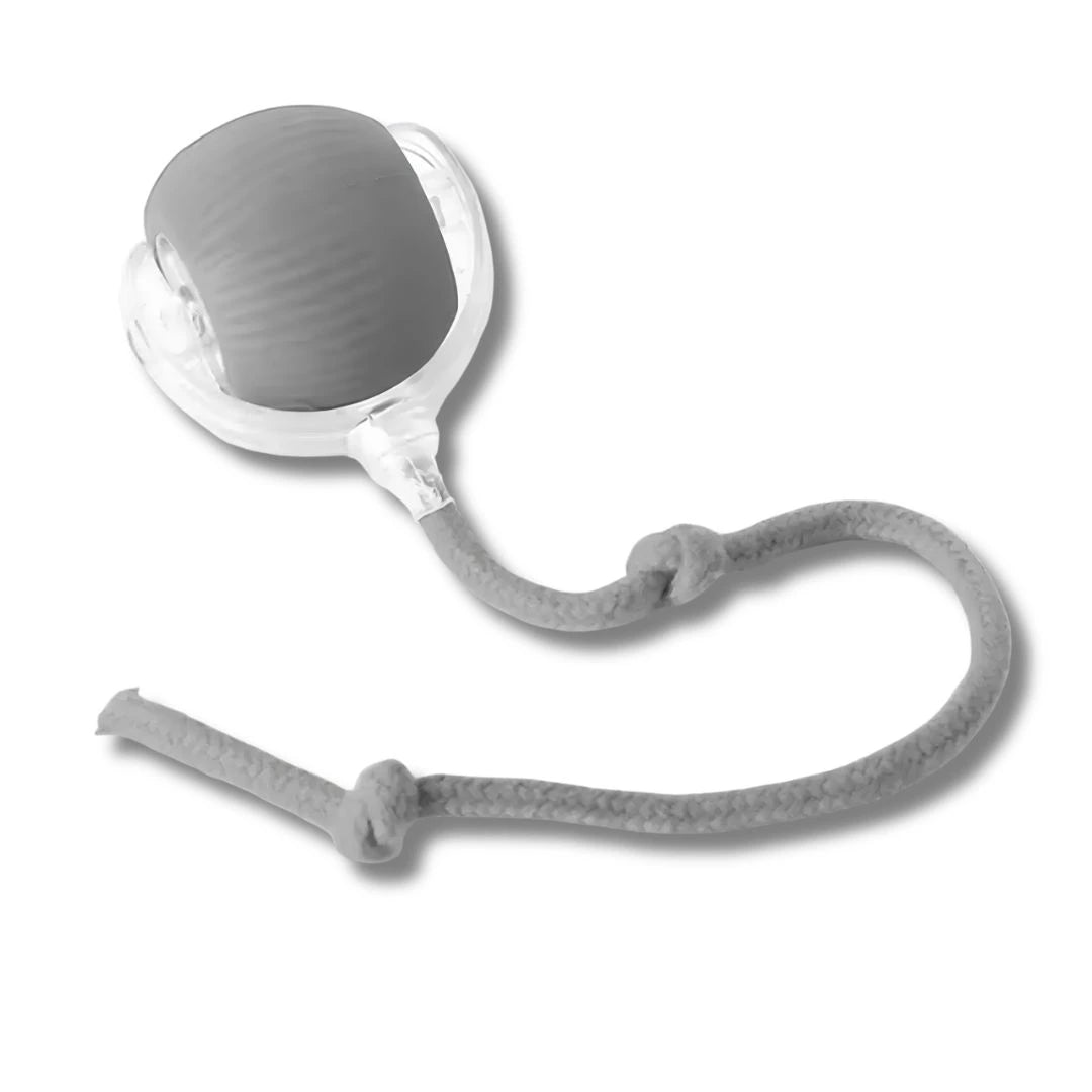 Dog playing with SkitterBall interactive rolling ball toy for active daily exercise