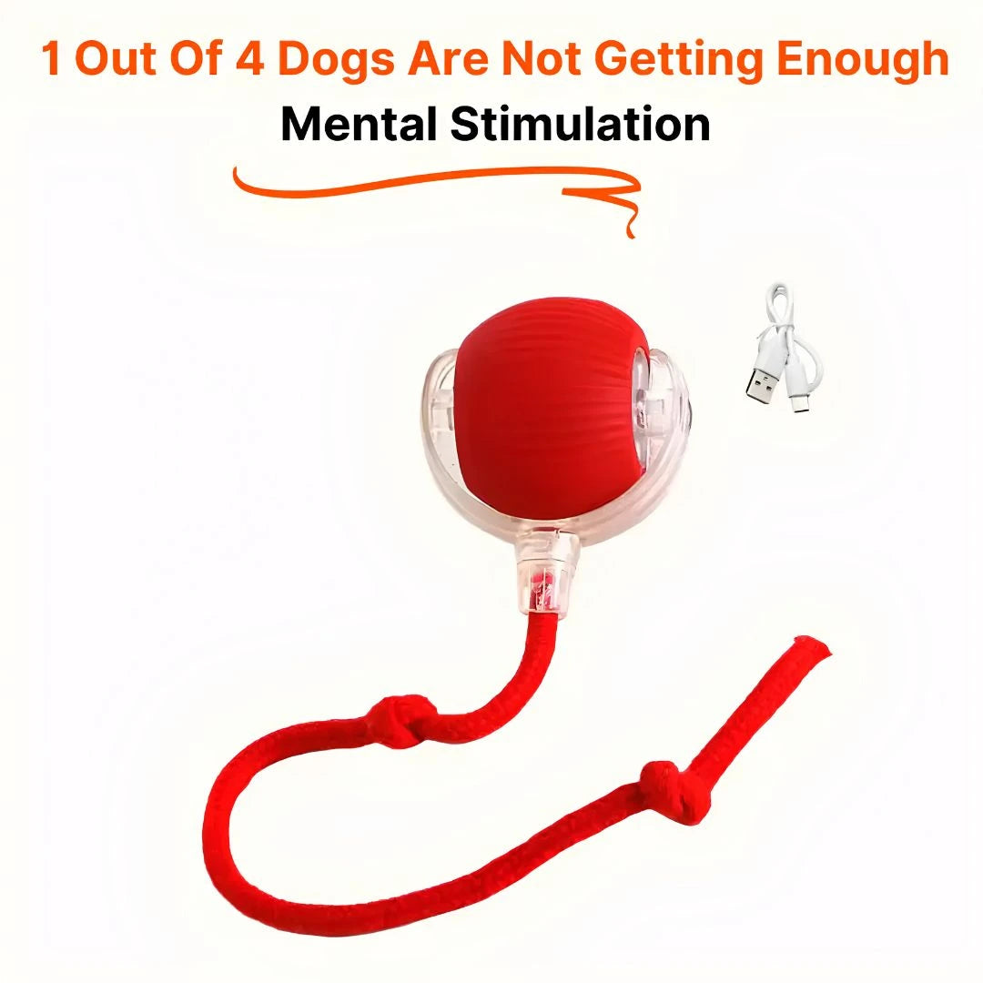 SkitterBall rechargeable interactive pet toy with fast Type C USB charging cable