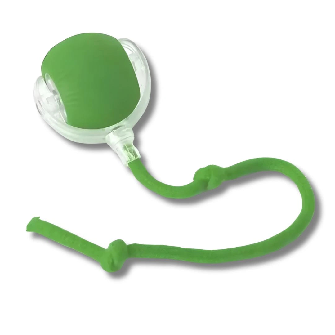 SkitterBall smart obstacle sensing pet ball dodging around furniture & walls