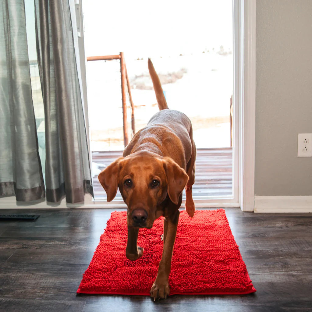 Pet-friendly absorbent mat stopping muddy paw prints