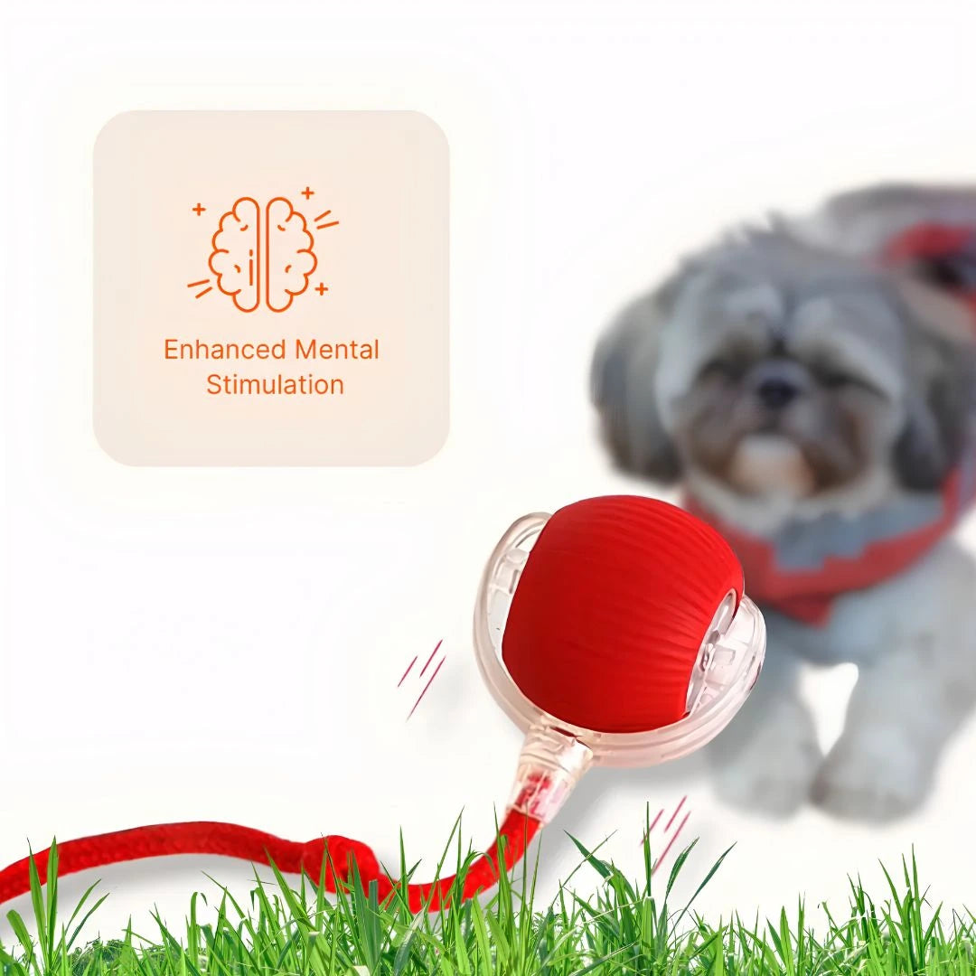 SkitterBall Interactive Pet Ball