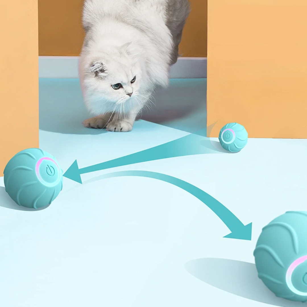 PurrBall™ - Simplify. Australia