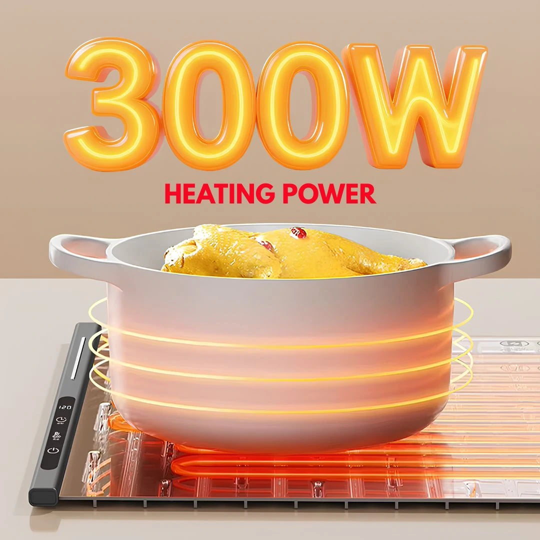 Portable electric food warmer for keeping meals at the ideal serving temperature