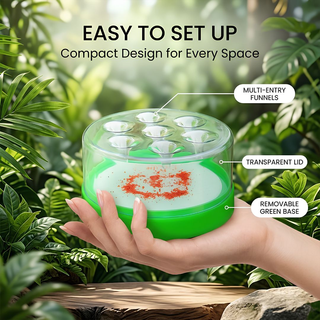 Reusable fly trap with funnel entry and included bait preventing flies escaping
