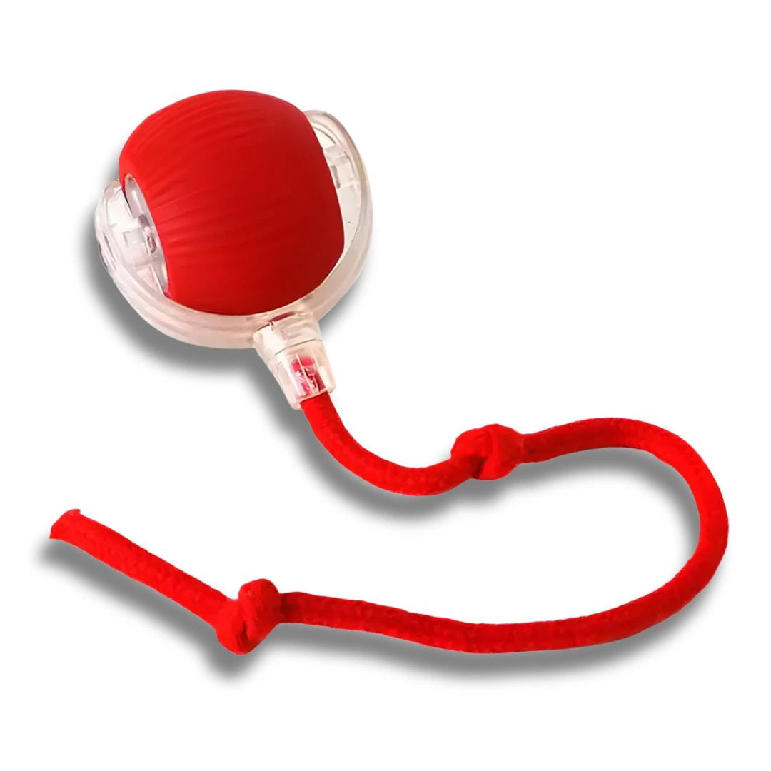 SkitterBall interactive cat toy with automatic rolling ball for indoor & outdoor pet play