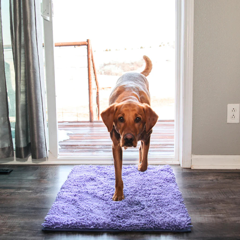 High absorbency dog mat for entryways, doors and laundry areas

